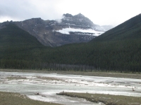 South along the Icefields Parkway